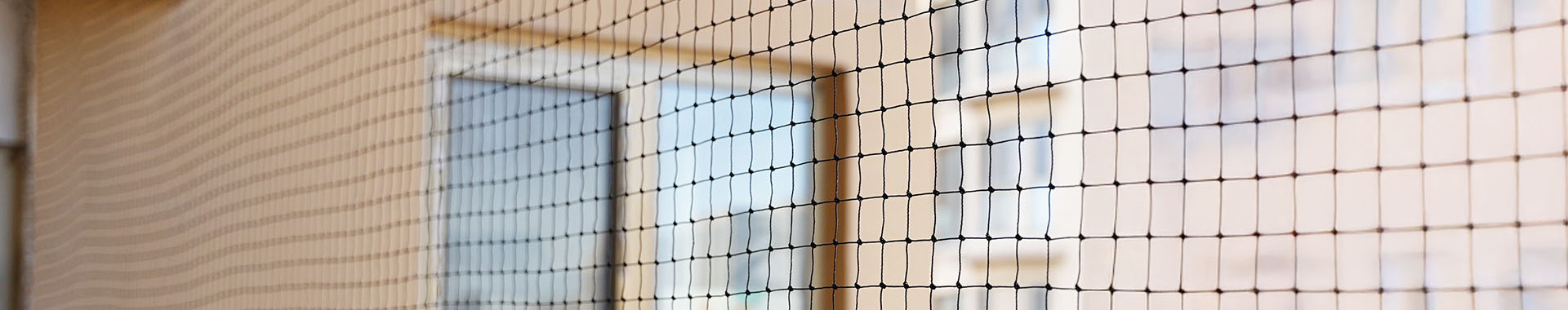 Shandong Binzhou Yanli Industry and Trade Co., LTD